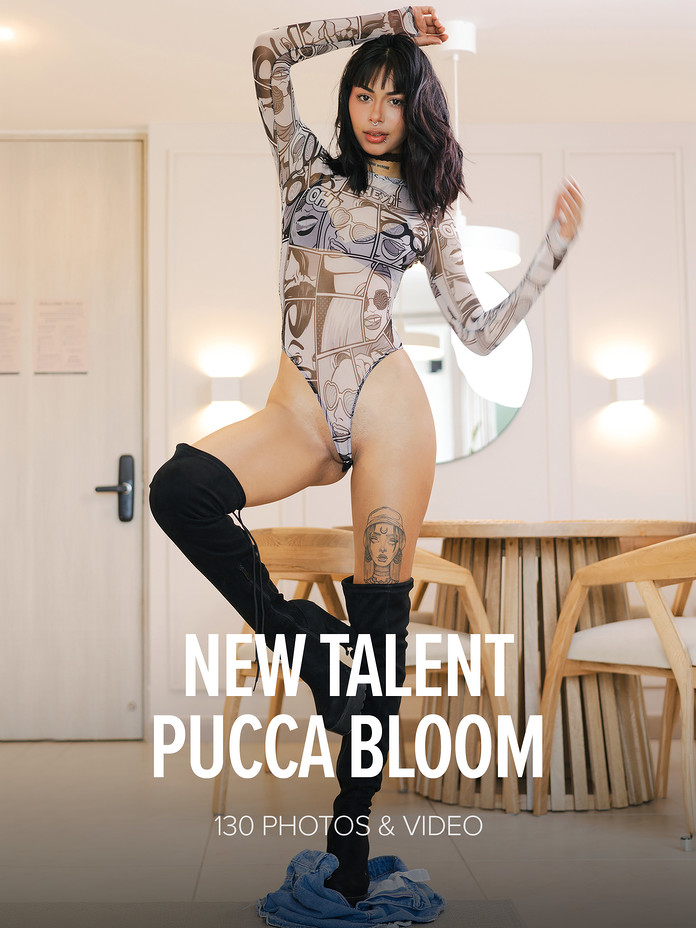 Pucca bloom: new talent pucca bloom. Pucca Bloom